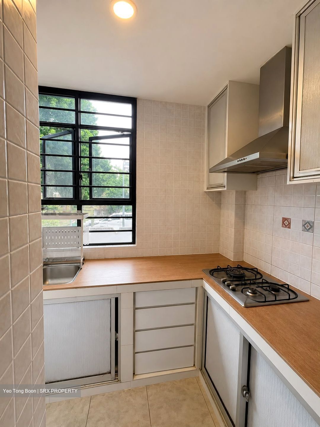 Casa Sarina (D14), Condominium #584186901